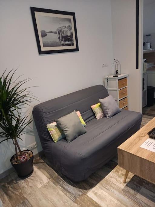 Cosy T2, Meuble De Tourisme 3 Etoiles, Parking Ferme , 2Velos, Wi-Fi Narbonne Dış mekan fotoğraf